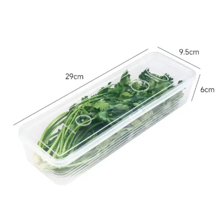 Boîtes de rangement pour réfrigérateur, 1/5 pièces, cebolonnes, boîte fraîche, récipient alimentaire