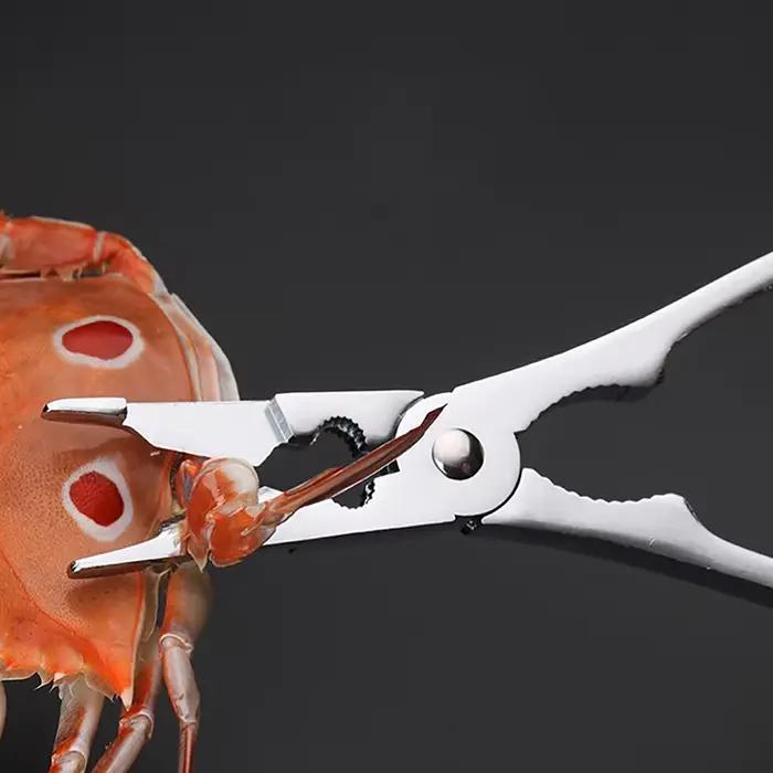Ensemble d'outils en acier inoxydable pour la cueillette de la viande de crabe, pinces à crabe, pinc