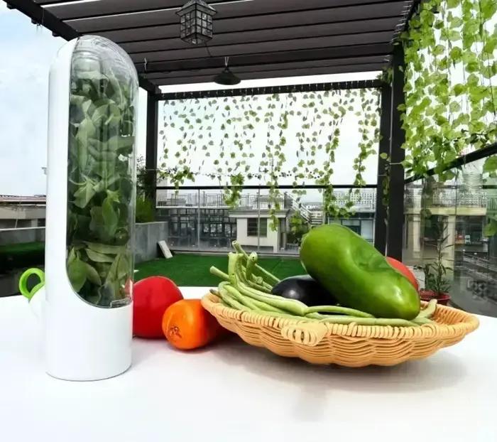 Économiseur d'herbes pour réfrigérateur