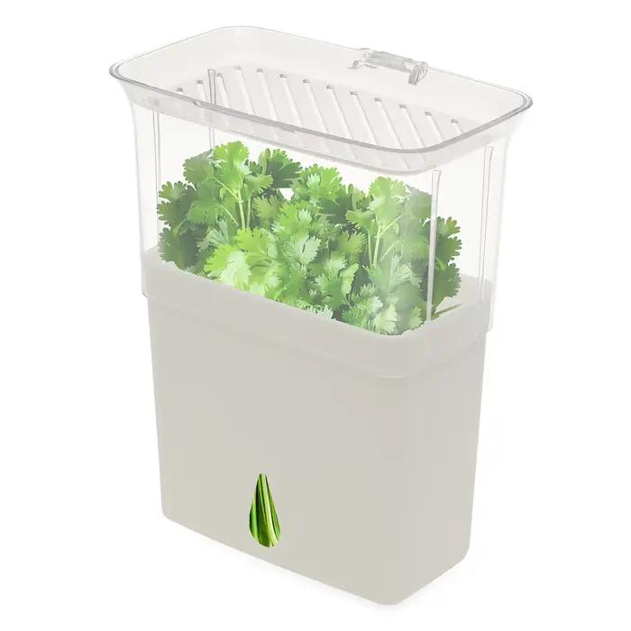 Conteneur de stockage d'herbes transparent