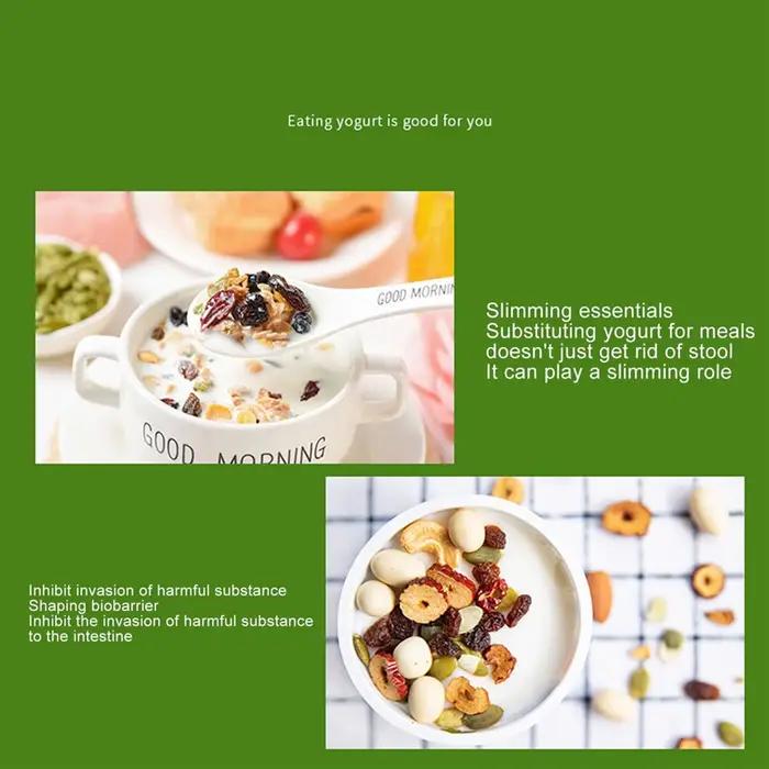A78E-Yogurt Maker Compact grec yaourtière Machine bricolage