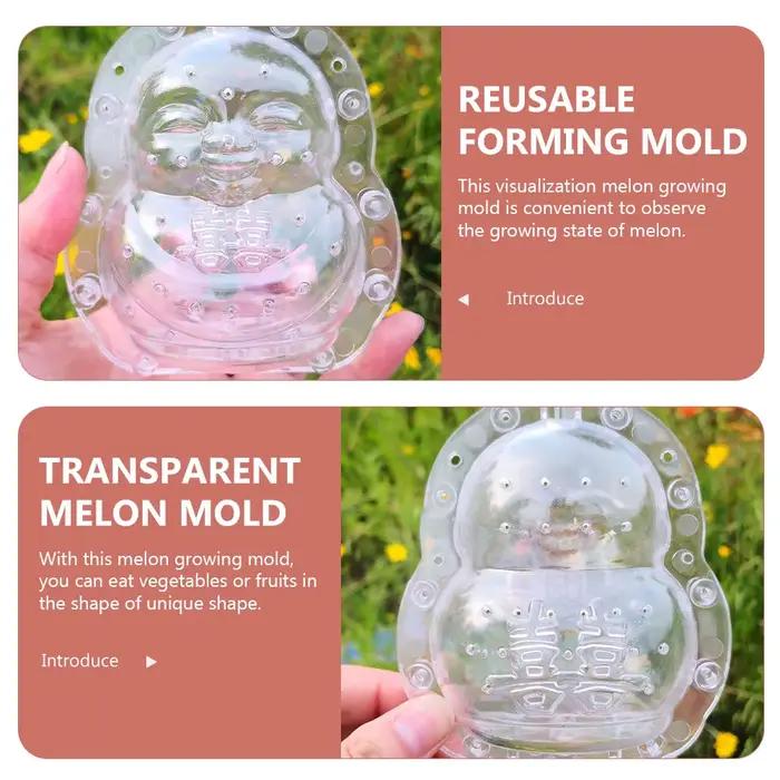 Moule transparent réutilisable pour melons et légumes façonnage de fruits pour jardin culture de légumes croissance de melons horticole artistique jardinage familial cadeau pour jardiniers