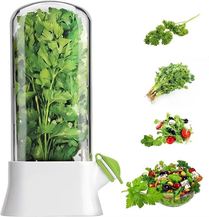 Conservateur d'herbes pour réfrigérateur
