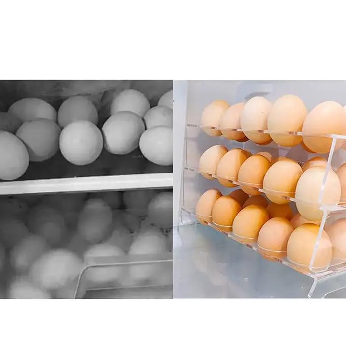 Conteneur de stockage d'œufs à 6/10 trous