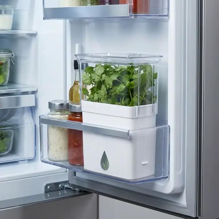 Récipient pratique en plastique pour herbes fraîches