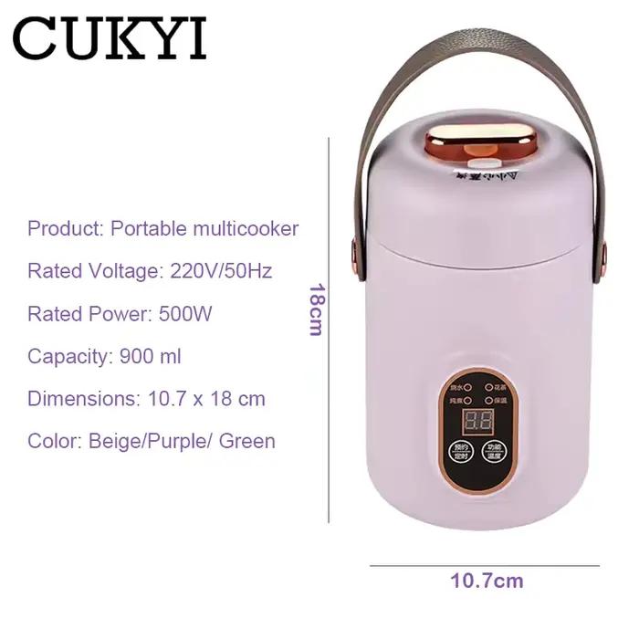 Bouilloire électrique multicuiseur Portable