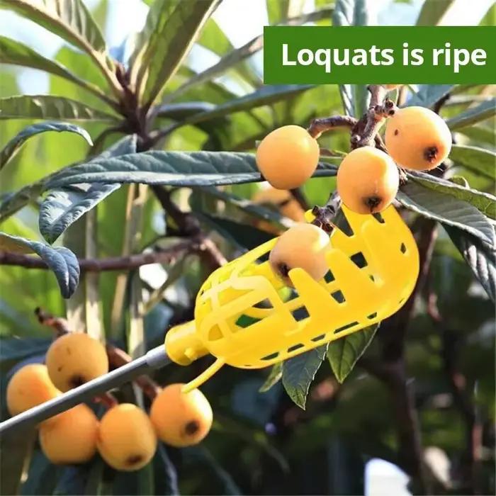 Yangmei – artefact de cueillette, équipement de cueillette de jardin de ferme, panier profond, tête de cueillette de fruits, outils de collecte de fruits, outils de jardinage, 1 pièce