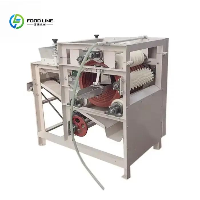 Ligne de production personnalisée de noisettes grillées, machine à torréfier les cacahuètes enrobées et confites, ligne de production de noix salées et assaisonnées