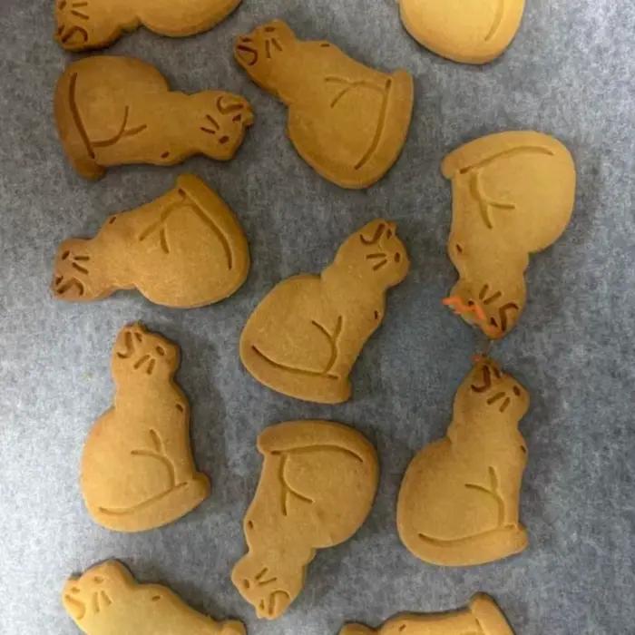 Dessin animé mignon chat emporte-pièce 3D animaux biscuits Fondant moule gâteau décoration loutre de mer cuisine bricolage moules de cuisson