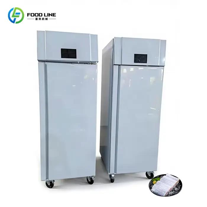 Décongélateur rapide de viande en acier inoxydable, armoire de décongélation sans givre, économe en énergie pour cuisine commerciale et magasin