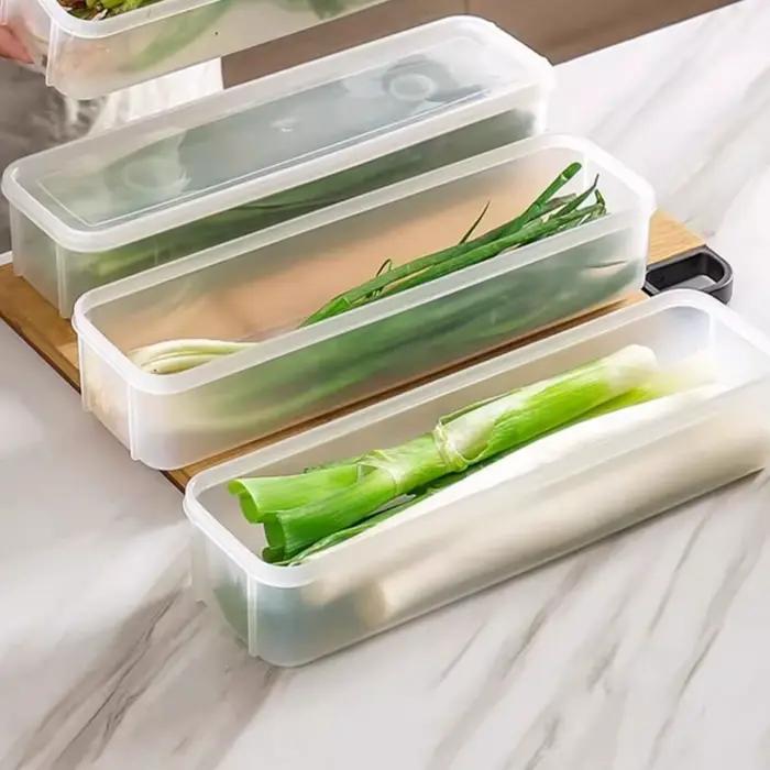 Cilantro – boîte de rangement d'oignons