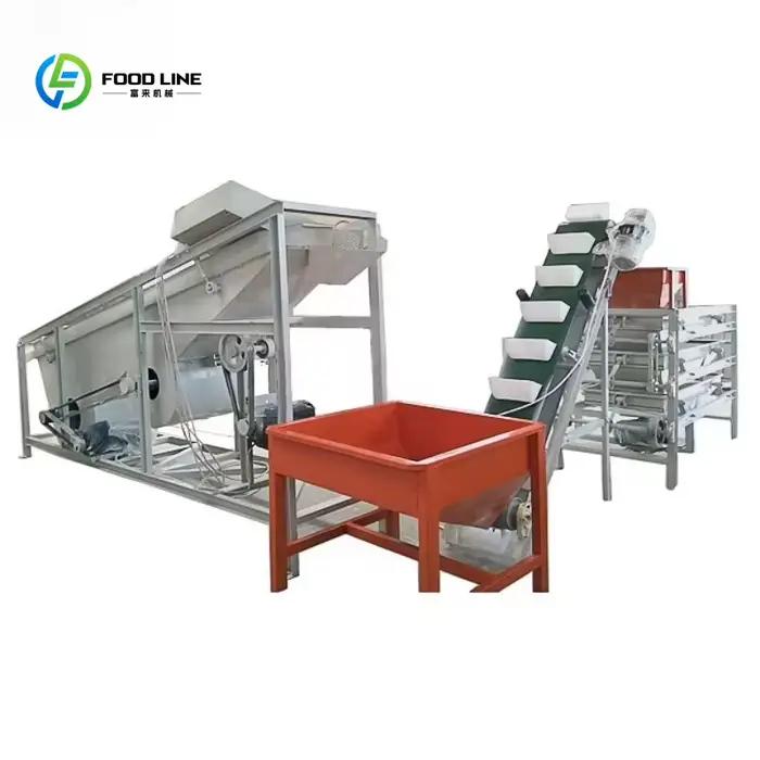 Ligne de production personnalisée de noisettes grillées, machine à torréfier les cacahuètes enrobées et confites, ligne de production de noix salées et assaisonnées