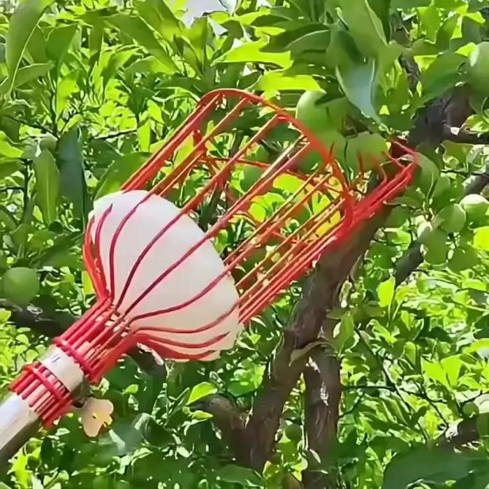 1 pièce Machine à cueillir les fruits, Dispositif de collecte et de récupération des fruits, Pratique et pratique, Outil de jardinage