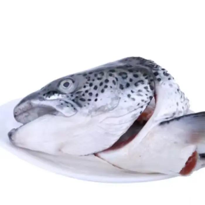 Équipement de coupe de queue de tête de poisson robuste, coupe automatique de capacité H de 3500 pièces pour le traitement de la morue de thon en acier inoxydable