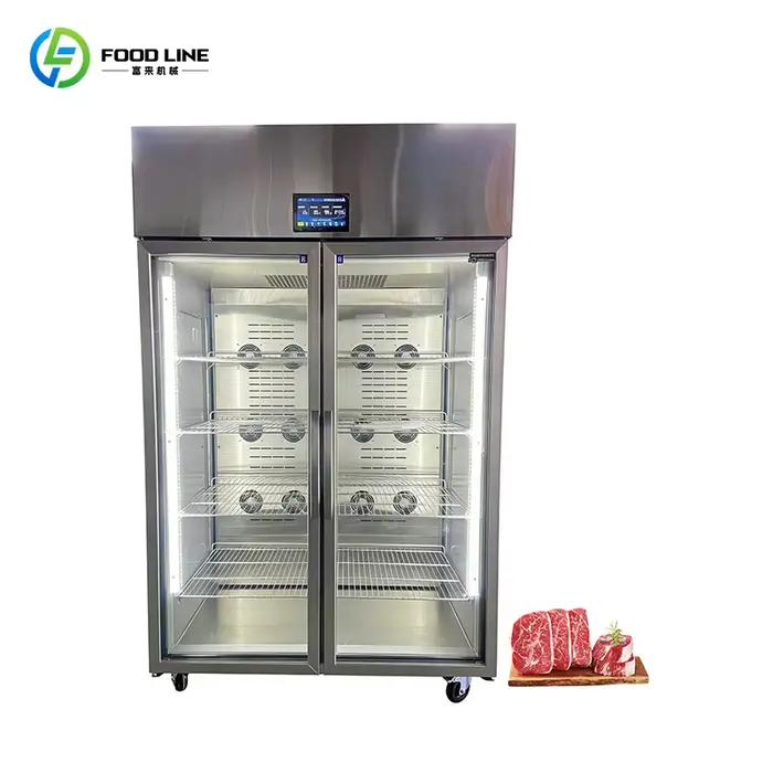 Décongélateur rapide de viande en acier inoxydable, armoire de décongélation sans givre, économe en énergie pour cuisine commerciale et magasin
