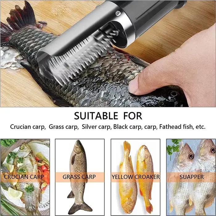Grattoir à poisson électrique Portable