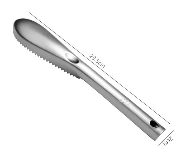 Brosse à écailles de poisson en acier inoxydable ustensile de cuisine polyvalent pour nettoyer éplucher gratter râper détartre raboter fruits de mer occasions spéciales