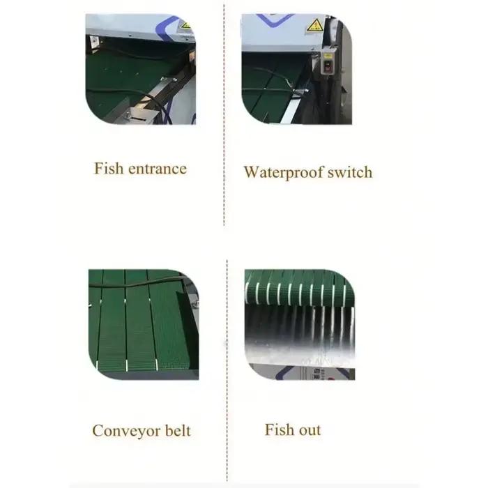Offre spéciale coupe-poisson à la sardine/utilisation agricole de poisson automatique/Machine de découpe de queue de tête de poisson Machine de découpe de poisson Machine de traitement de poisson