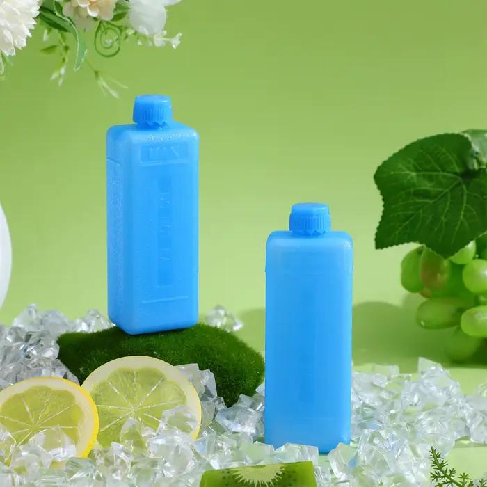 10 blocs de congélation portables réutilisables en PE pour refroidissement alimentaire et climatisation portable