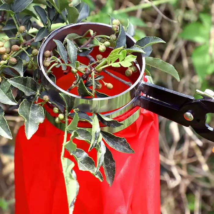 Ciseaux de cueillette professionnels efficaces, outils à main de cueillette de goji et de piment, outils de jardinage, économie de main-d 'œuvre, sacs spéciaux