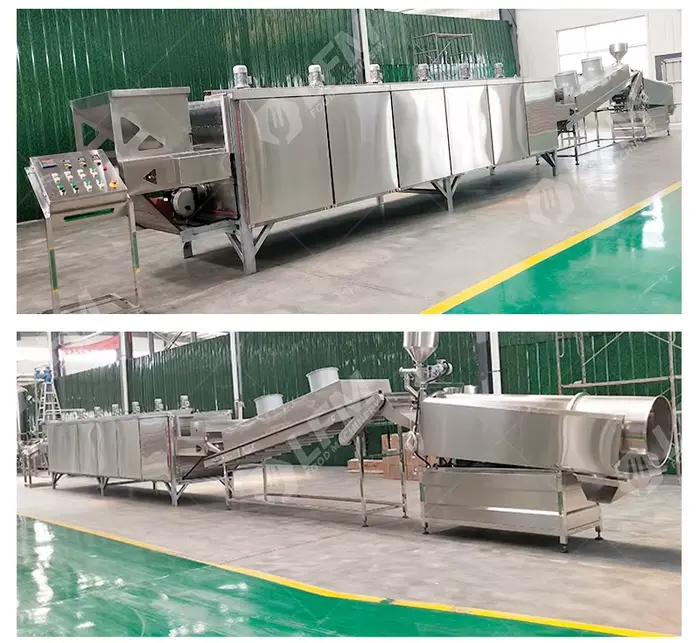 Ligne de production personnalisée de noisettes grillées, machine à torréfier les cacahuètes enrobées et confites, ligne de production de noix salées et assaisonnées