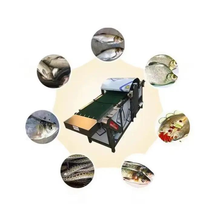 Offre spéciale coupe-poisson à la sardine/utilisation agricole de poisson automatique/Machine de découpe de queue de tête de poisson Machine de découpe de poisson Machine de traitement de poisson