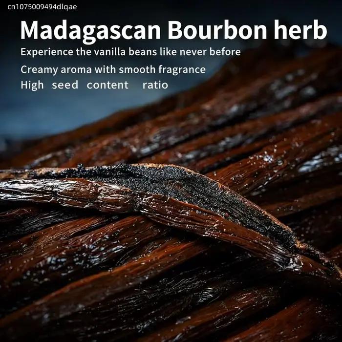 10/20 pièces de gousses de vanille de Madagascar 14-17 cm, gousses de vanille naturelles, encens aromatique pur, parfum d'intérieur, fournitures de bricolage