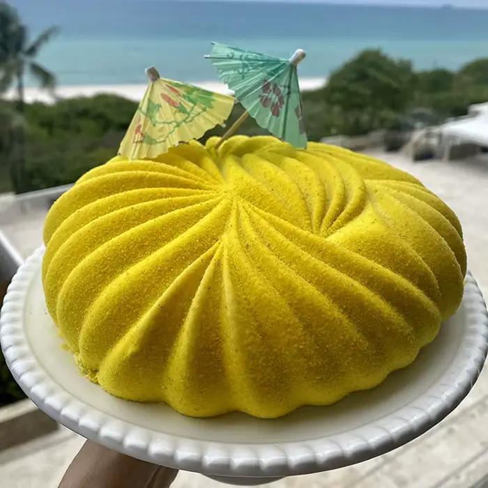 Moule à gâteau rond en Mousse pour la cuisson de grandes Dunes
