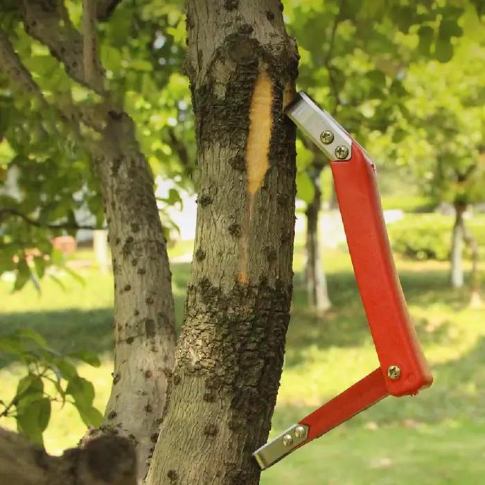 Grattoir à écorce multifonctionnel en plastique et métal rouge pour jardiniers et amateurs de bonsaï occassions spéciales