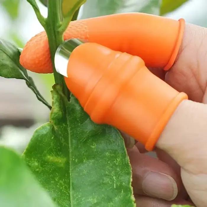 Couteau à pouce pour la cueillette des légumes (poivrons