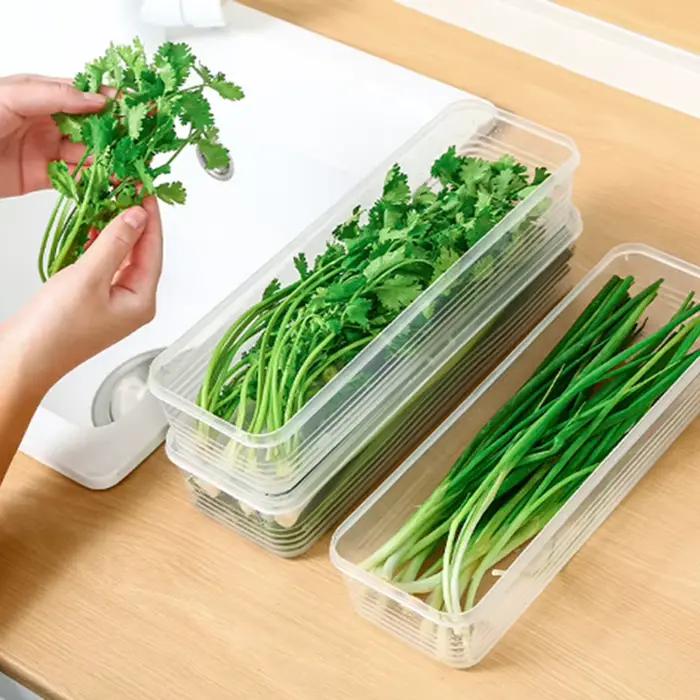 Boîtes de rangement pour réfrigérateur modernes en plastique de qualité supérieure pour une organisation élégante et hygiénique des aliments
