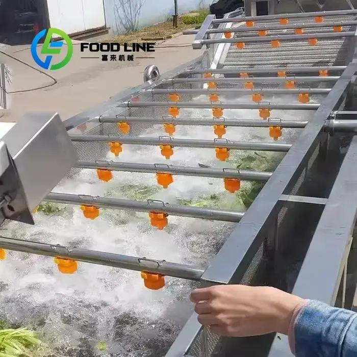 Lave-légumes à bulles avec module de désinfection intégré en acier inoxydable pour nettoyage efficace des légumes en agriculture et transformation alimentaire occassions spéciales