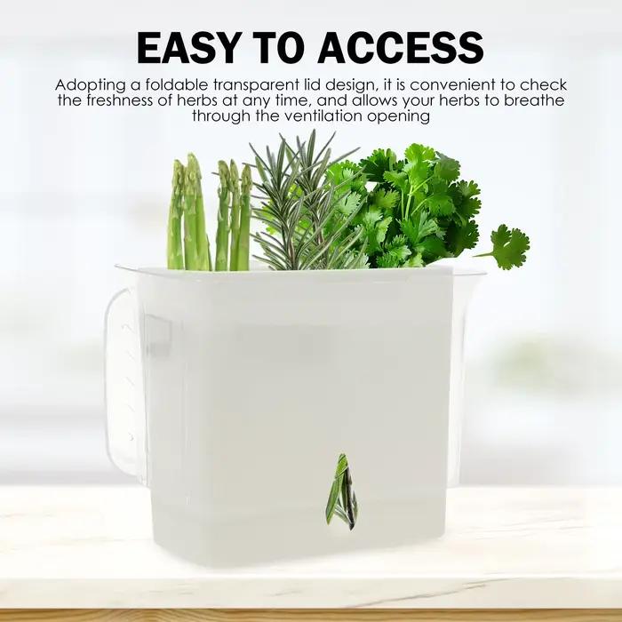 Conteneur de stockage d'herbes transparent