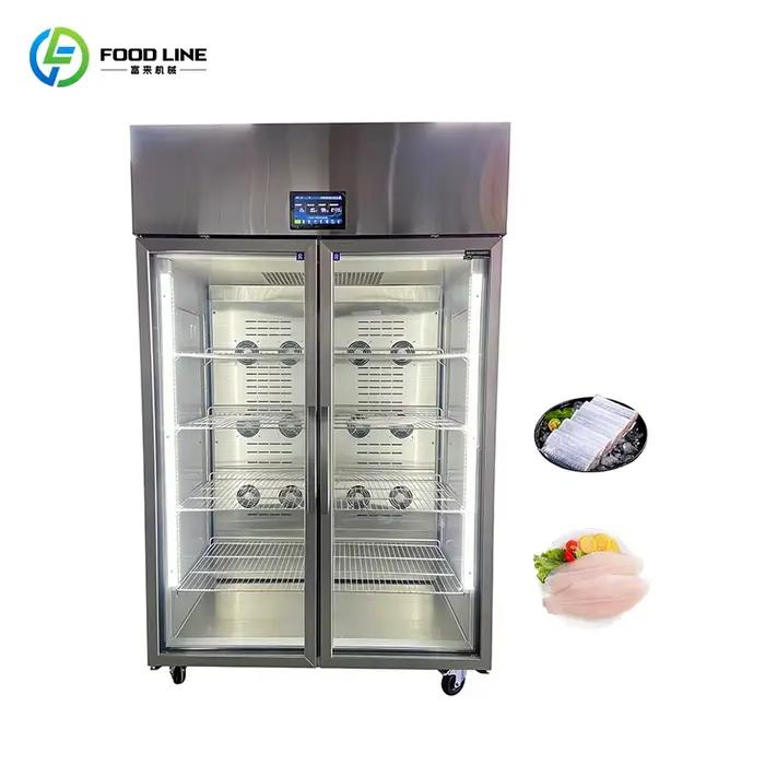 Décongélateur rapide de viande en acier inoxydable, armoire de décongélation sans givre, économe en énergie pour cuisine commerciale et magasin