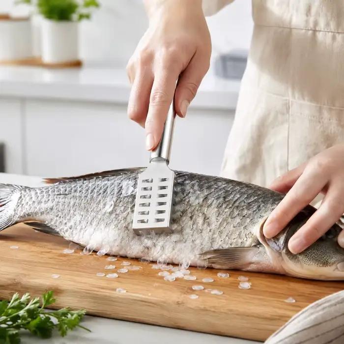 Couteau à écailles de poisson en acier inoxydable avec bord dentelé pour gratter