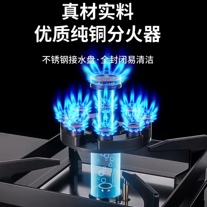 Royalstar cuisinière à gaz Double brûleur économie d'énergie ménage gaz naturel GPL table de cuisson AF