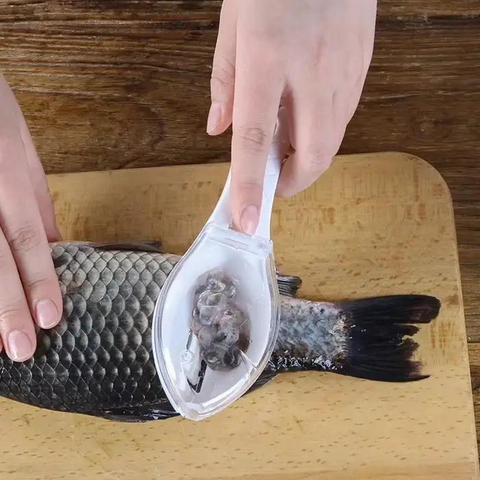 Brosse à écailles de poisson, grattoir à peau de poisson, couteau de nettoyage à démontage rapide, éplucheur de peau, écailleur de poisson