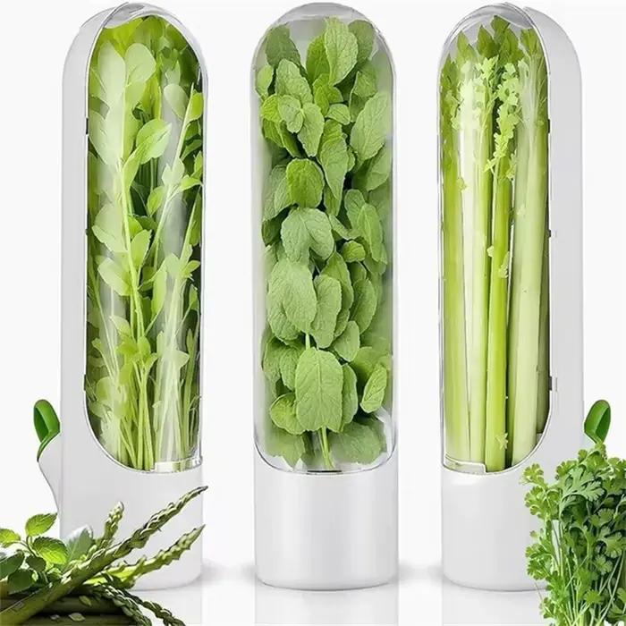 1/2/3 pièces vert herbe fraîche gardien vanille légumes frais conservation bouteille