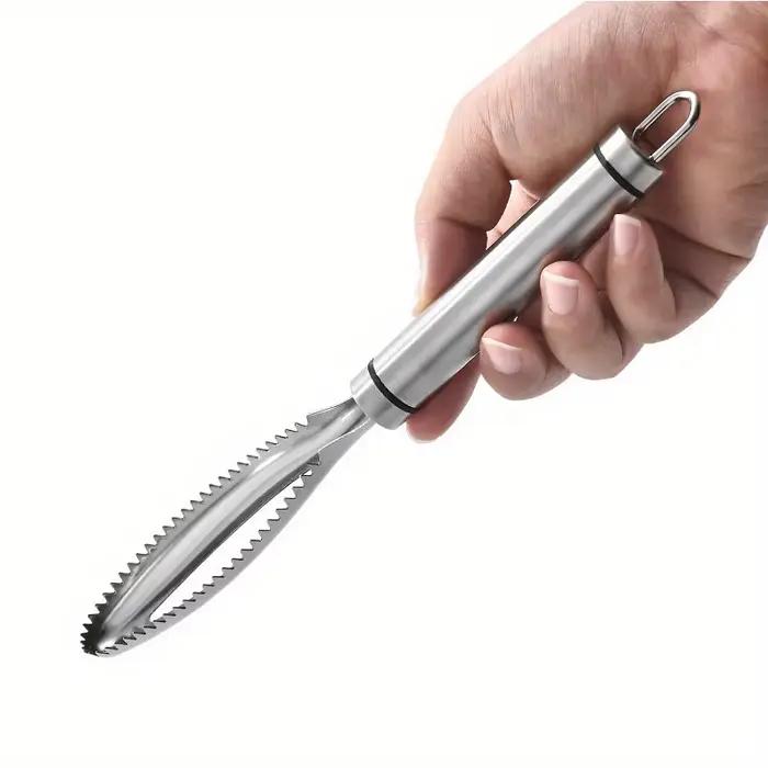 Nettoyeur d'écailles de poisson en acier inoxydable, grattoir, éplucheur, outil, peau de poisson, rasoir, dissolvant, livres, brosse