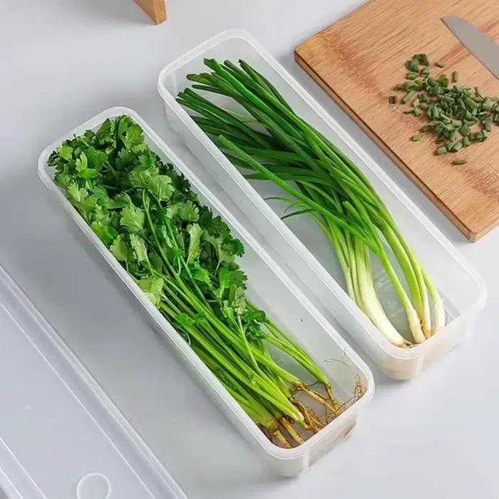 Cilantro – boîte de rangement d'oignons