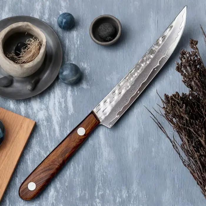 Ensemble de Steak en acier damas forgé à 67 plis, couperet, lame à viande, couteau à fruits tranchan