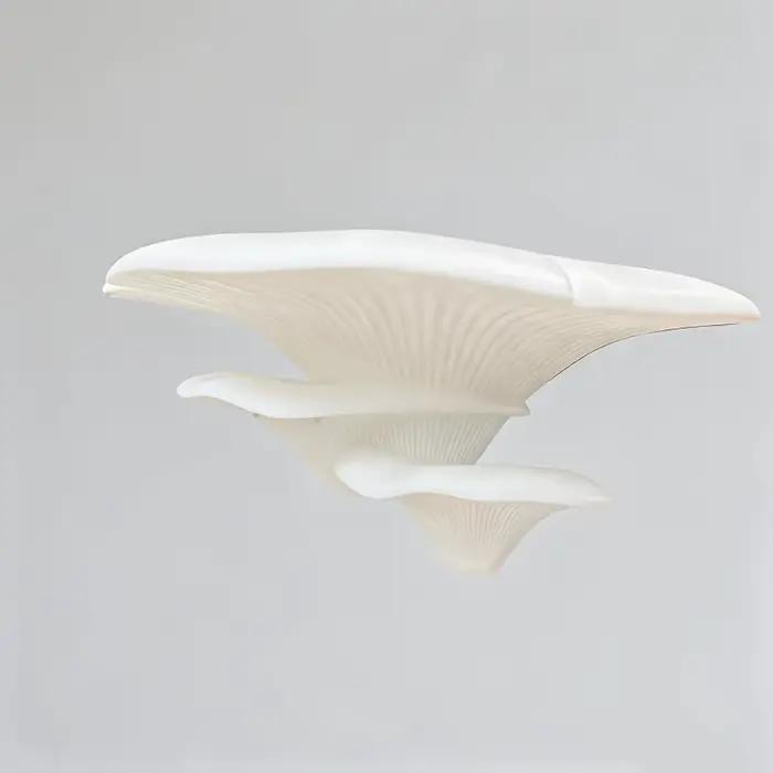 1 support créatif en forme de champignon imprimé en 3D – Rangement multifonctionnel et ornement mura