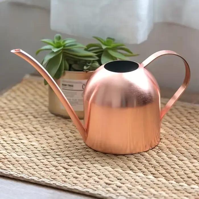Pot d'arrosage en acier inoxydable, 1 pièce, ponçage en cuivre, sable, or, plantes de jardin, buse à