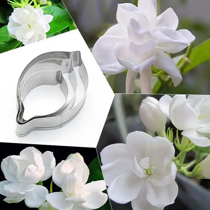 Ensemble d'emporte-pièces en acier inoxydable, pétales de fleurs de jasmin, outils de décoration de