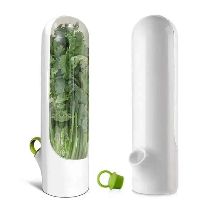 Économiseur d'herbes pour réfrigérateur, conteneur de stockage d'herbes fraîches, bouteille de conse