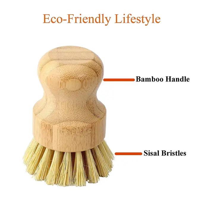 Brosse à récurer la vaisselle en bambou Regina, épurateur de vaisselle en bois de cuisine, brosse de