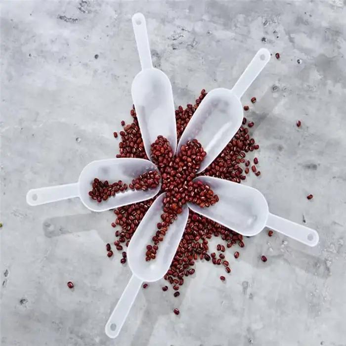 Pelle à glace multifonctionnelle en plastique conviviale ré, 5 pièces, pour mesurer le sucre, les bonbons, les desserts, les fêtes, la crème