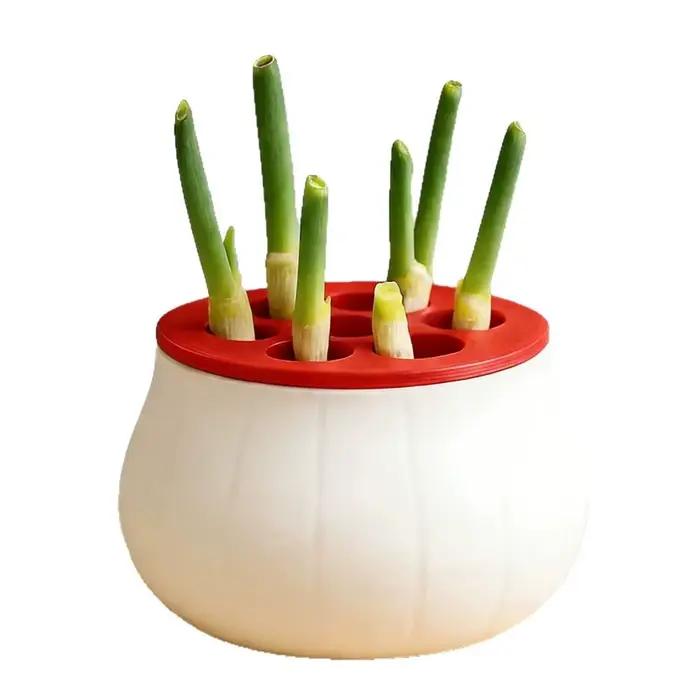 Jardinière à oignon vert à design peu encombrant