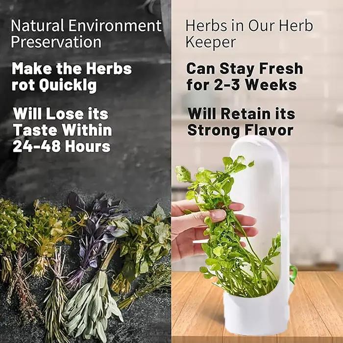 Économiseur d'herbes pour réfrigérateur