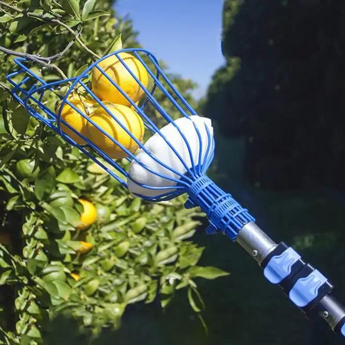 Machine de cueillette de fruits, dispositif de cueillette de fruits, pratique et pratique, outil de jardinage